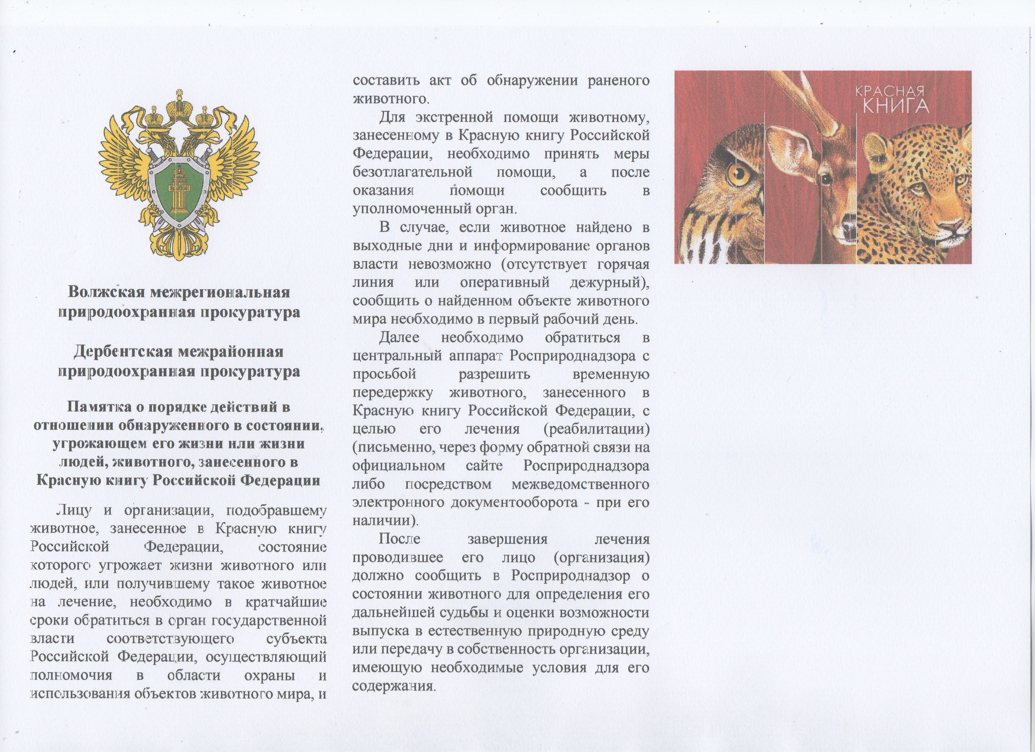 Памятка о порядке действий в отношении обнаруженного в состоянии, угрожающем его жизни или жизни людей, животного, занесенного в Красную книгу Российской Федерации.